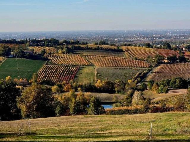 Terreno in vendita a Unione dei comuni Valli del Reno, Lavino e Samoggia, Montebudello
