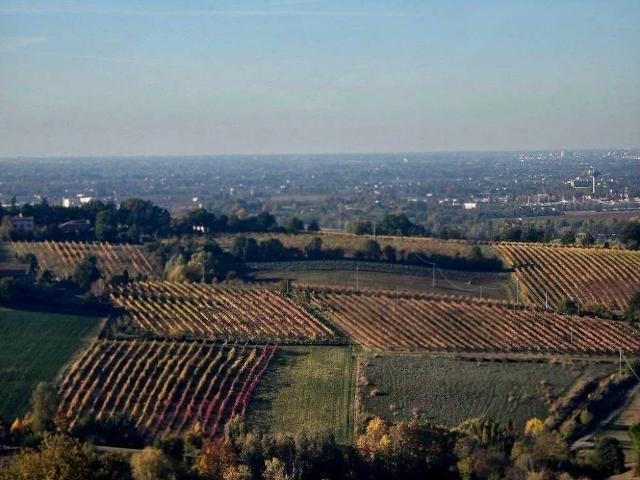Terreno in vendita a Unione dei comuni Valli del Reno, Lavino e Samoggia, Montebudello