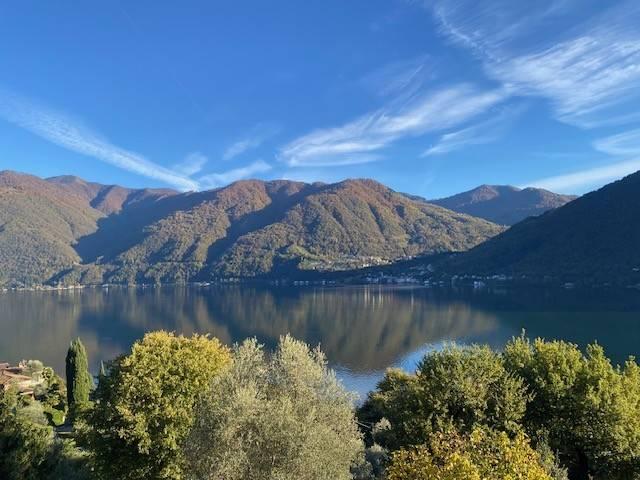 Terreno in vendita a Valsolda, Como