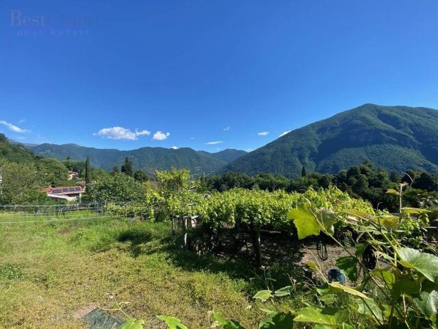 Terreno in vendita a Valsolda, Lombardia