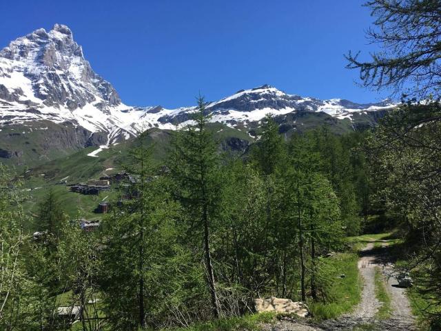 Terreno in vendita a Cielo Alto, Valtournenche