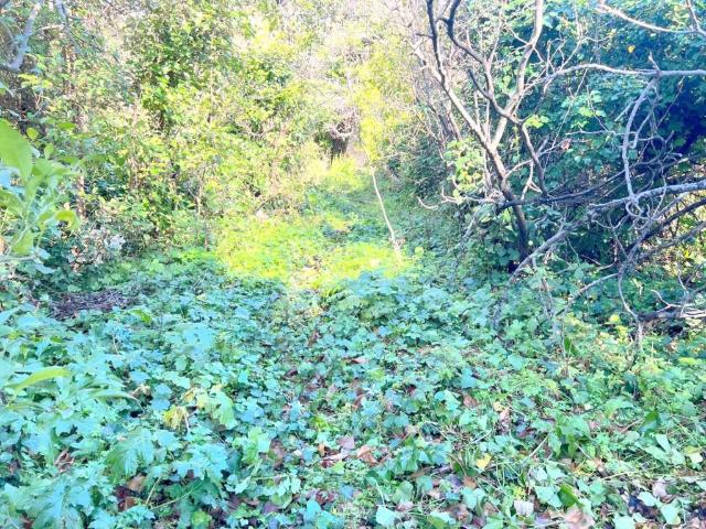 Terreno in vendita a Valverde, Sicilia