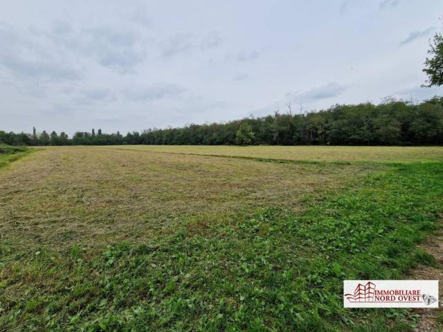 Terreno in vendita a Arluno, Lombardia