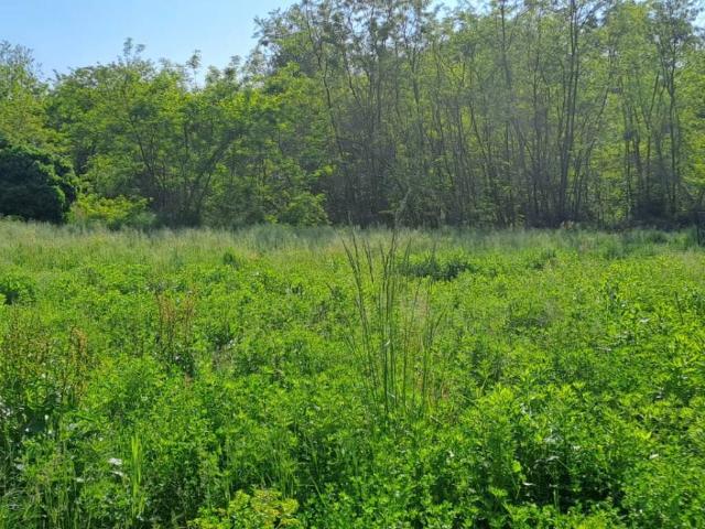 Terreno in vendita a Piemonte, Novara