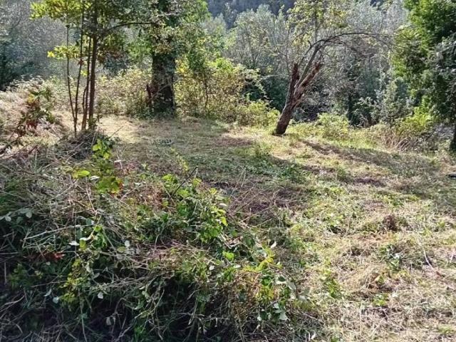Terreno in vendita a Casanova, Varazze