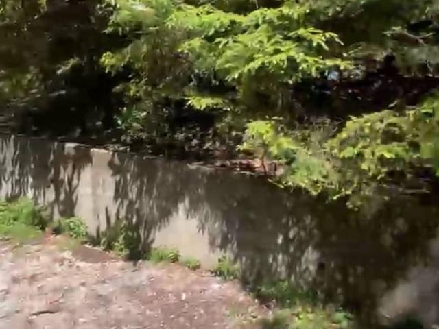 Terreno in vendita a Biumo Superiore, Varese