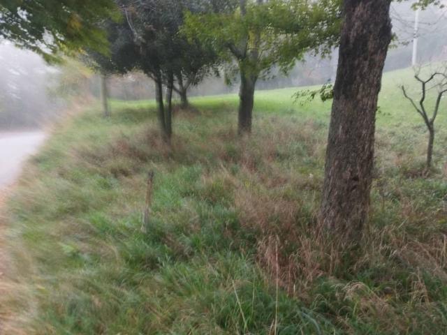 Terreno in vendita a Varese, Lombardia