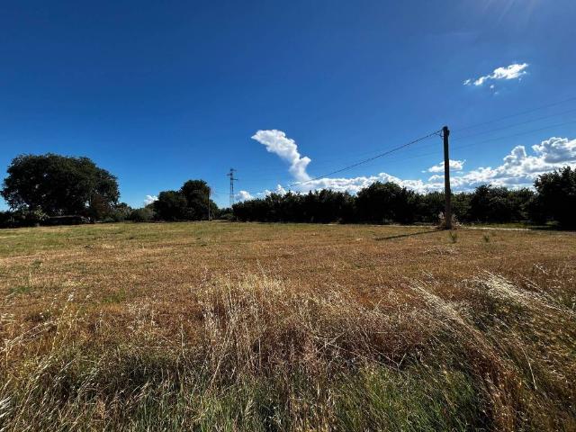 Terreno in vendita a Vasanello, Lazio
