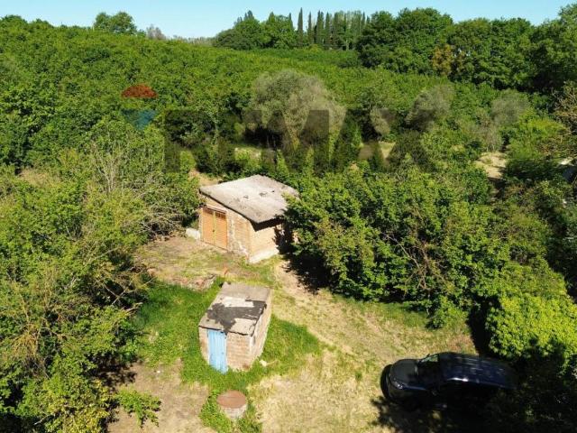Terreno in vendita a Vasanello, Lazio