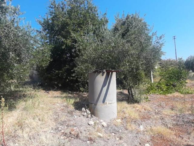 Terreno in vendita a San Leonardo, Vasto