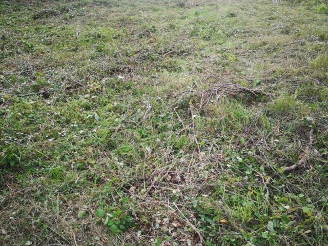 Terreno in vendita a San Paolo, Vasto
