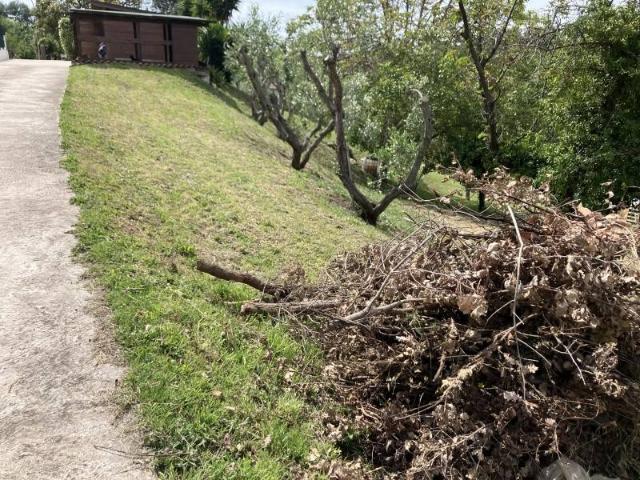 Terreno in vendita a San Paolo, Vasto