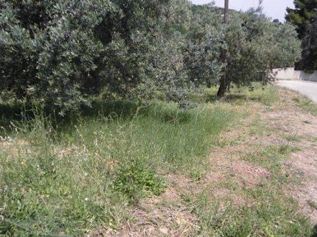 Terreno in vendita a San Nicola, Vasto