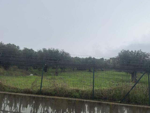 Terreno in vendita a Montevecchio, Vasto
