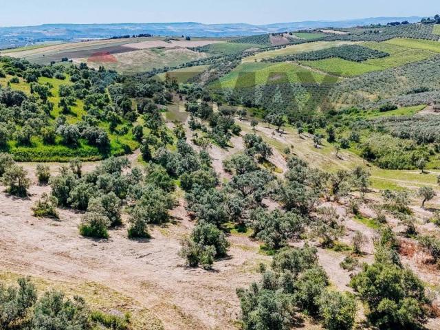 Terreno in vendita a San Nicola, Vasto