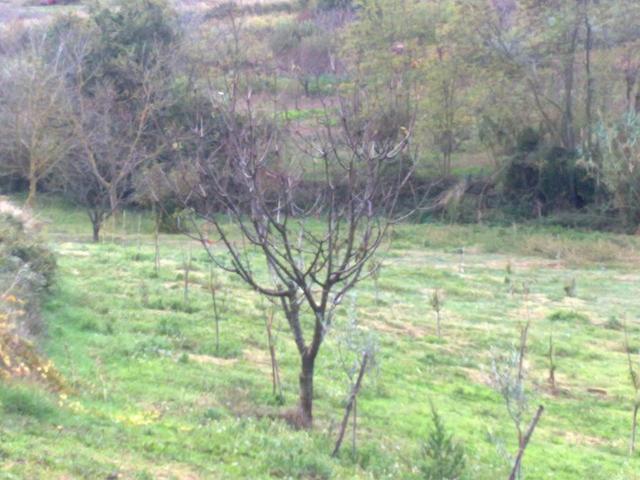 Terreno in vendita a Castello Due Valloni, Vasto