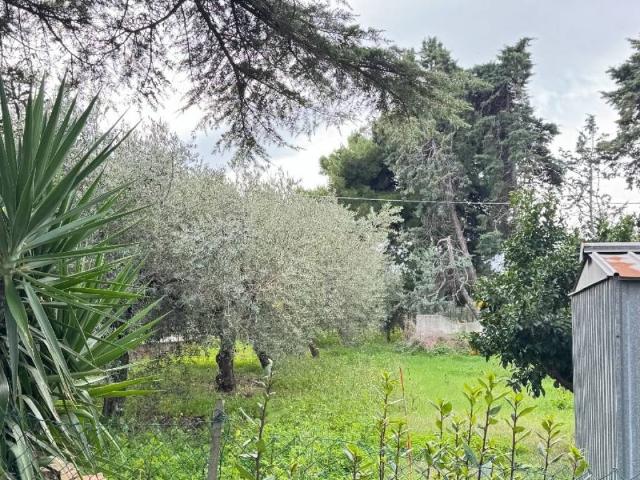Terreno in vendita a Torre Sinello, Vasto
