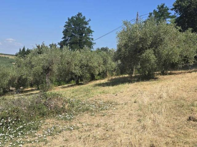 Terreno in vendita a Passo della Noce, Vasto