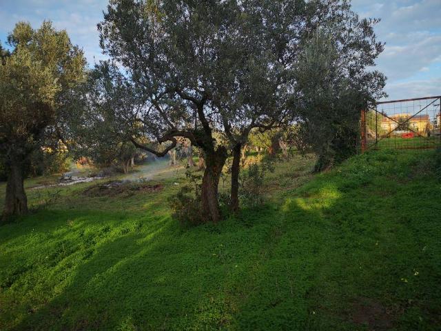 Terreno in vendita a Vasto, Abruzzo