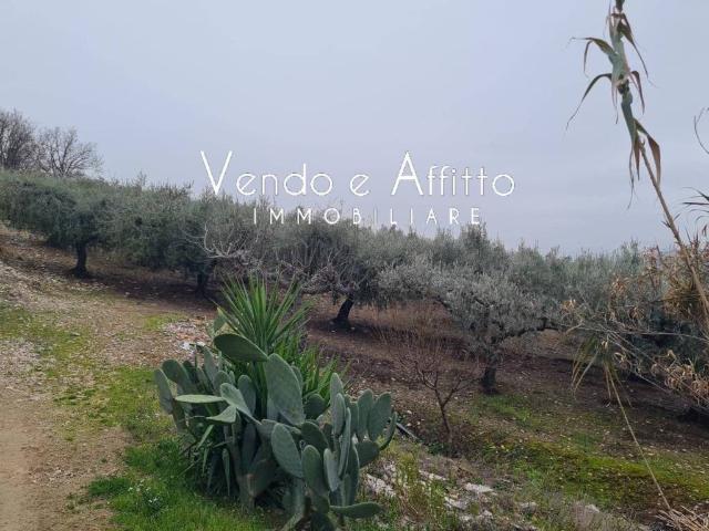 Terreno in vendita a Colle San Lorenzo, Vasto