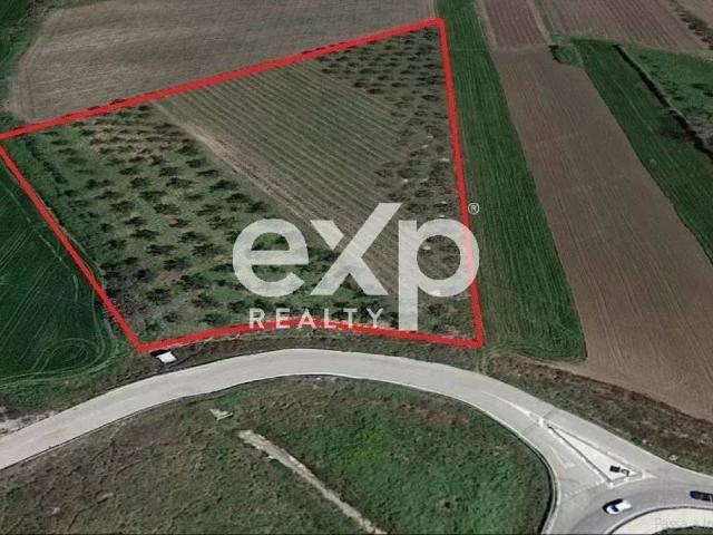 Terreno in vendita a San Nicola, Vasto