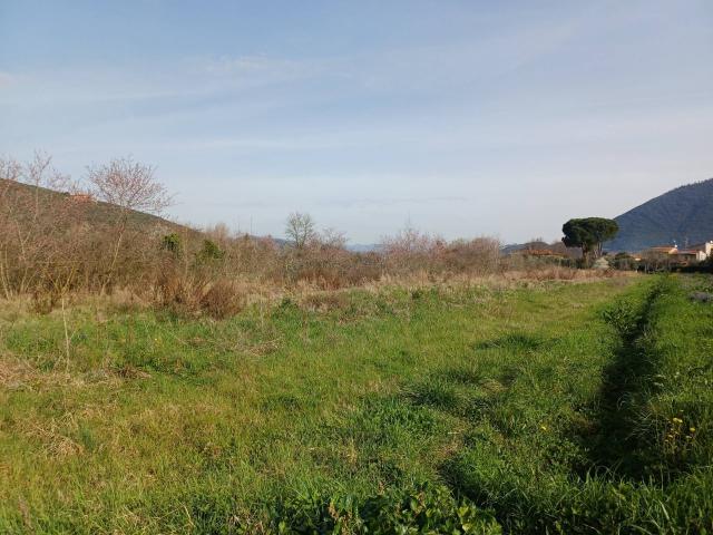 Terreno in vendita a Avane, Vecchiano