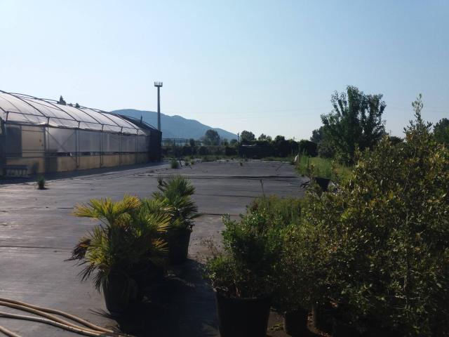 Terreno in vendita a Vecchiano, Toscana