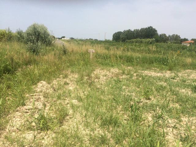 Terreno in vendita a Vecchiano, Toscana