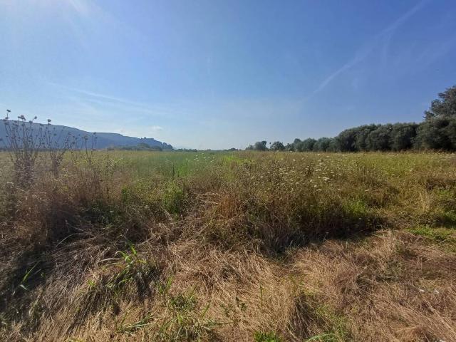 Terreno in vendita a Vecchiano, Toscana