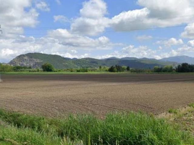 Terreno in vendita a Migliarino Pisano, Vecchiano