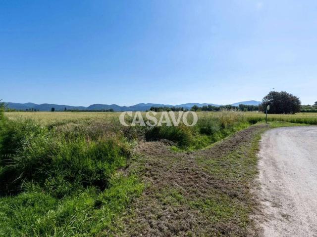 Terreno in vendita a Migliarino Pisano, Vecchiano