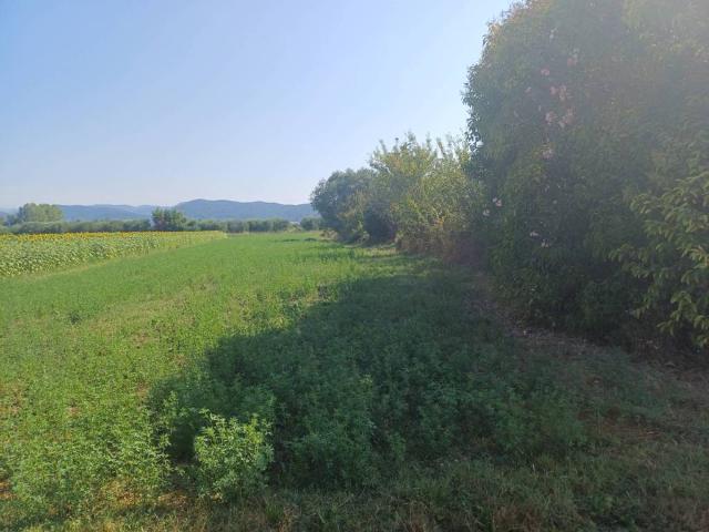 Terreno in vendita a Vecchiano, Toscana