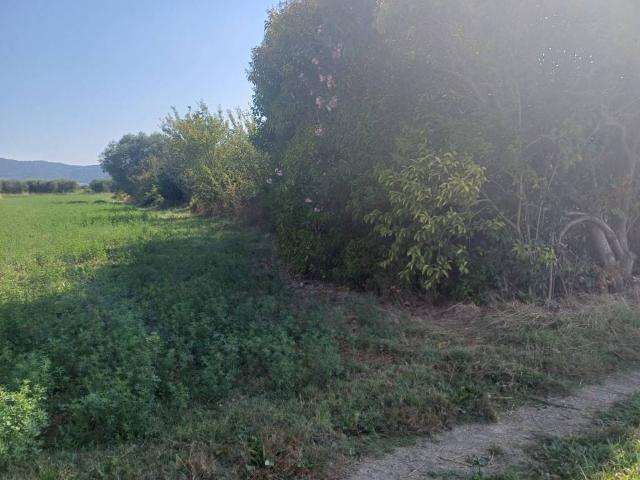 Terreno in vendita a Vecchiano, Toscana