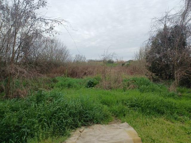 Terreno in vendita a Avane, Vecchiano