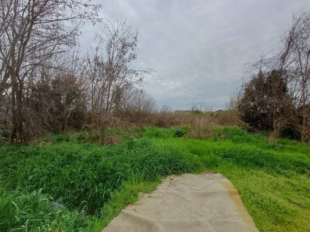 Terreno in vendita a Avane, Vecchiano
