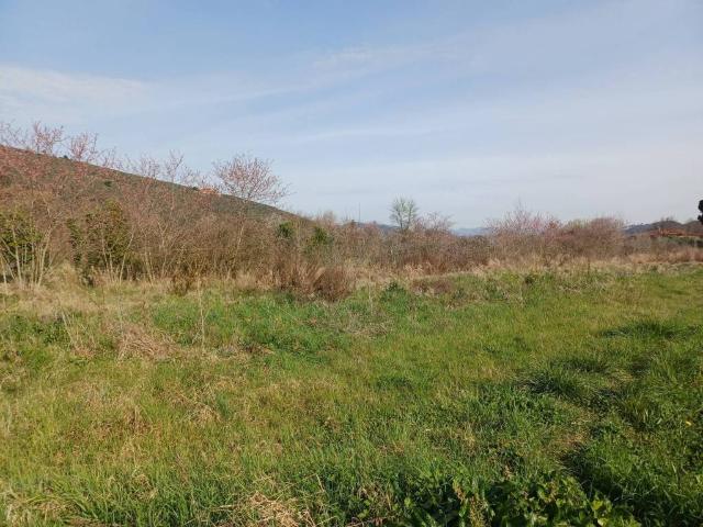 Terreno in vendita a Avane, Vecchiano