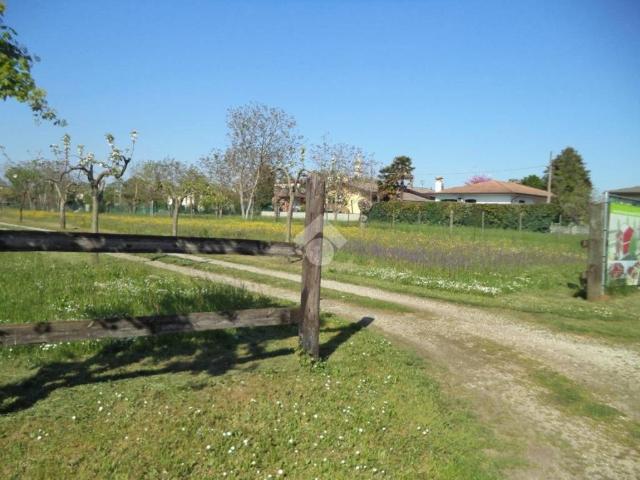 Terreno in vendita a Vedelago