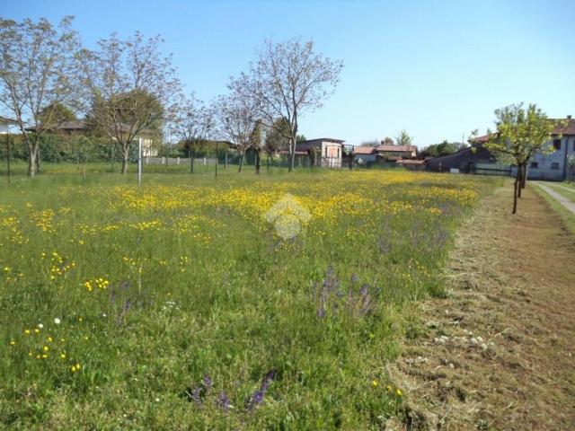 Terreno in vendita a Vedelago