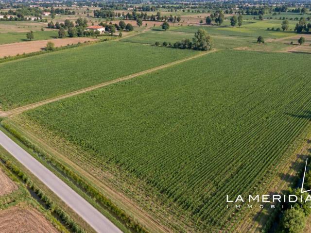 Terreno in vendita a Cavasagra, Vedelago