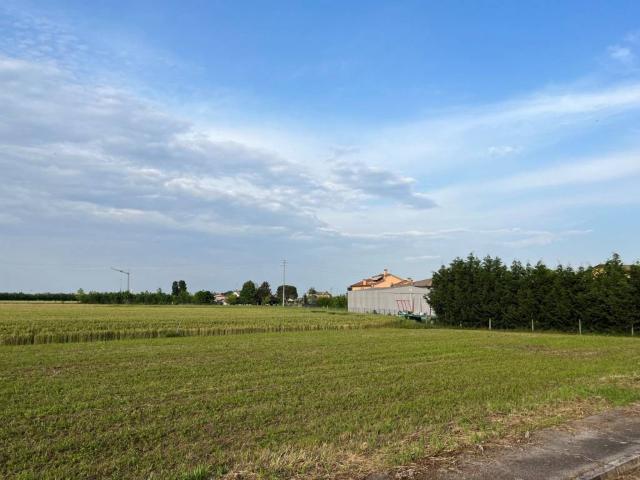 Terreno in vendita a Sant'Antonio, Veggiano