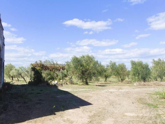 Terreno in vendita a Veglie, Lecce