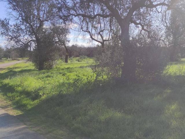 Terreno in vendita a Puglia, Lecce
