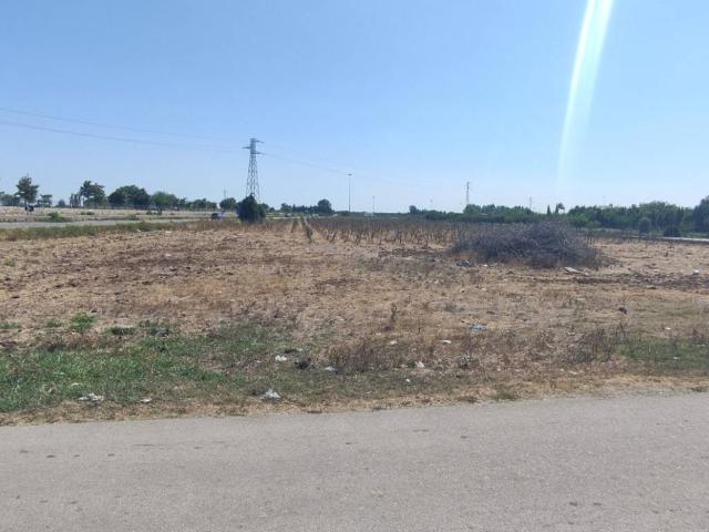 Terreno in vendita a Puglia, Lecce