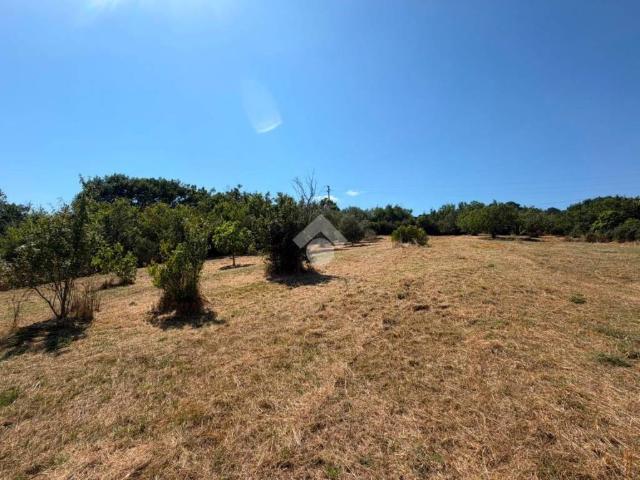 Terreno in vendita a Vejano, Lazio