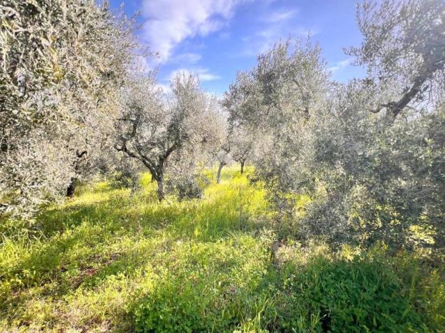 Terreno in vendita a Santo Tomao, Roma Capitale