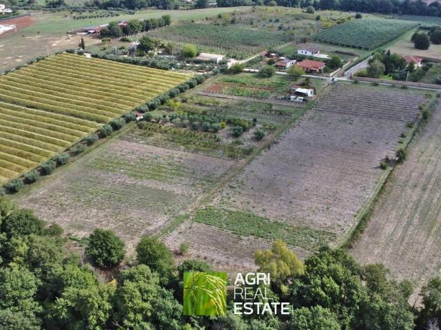 Terreno in vendita a Roma Capitale, Lazio