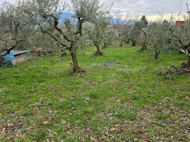 Terreno in vendita a Roma Capitale, Lazio
