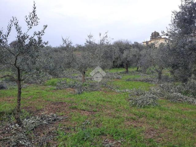 Terreno in vendita a Roma Capitale, Lazio