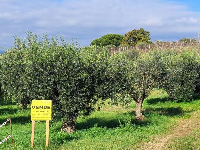 Terreno in vendita a Roma Capitale, Lazio