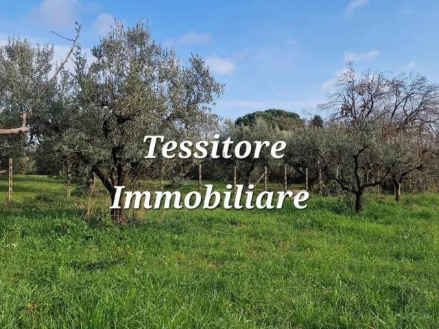 Terreno in vendita a Velletri, Roma Capitale